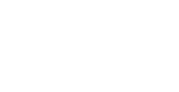 Gym Plus Optimal